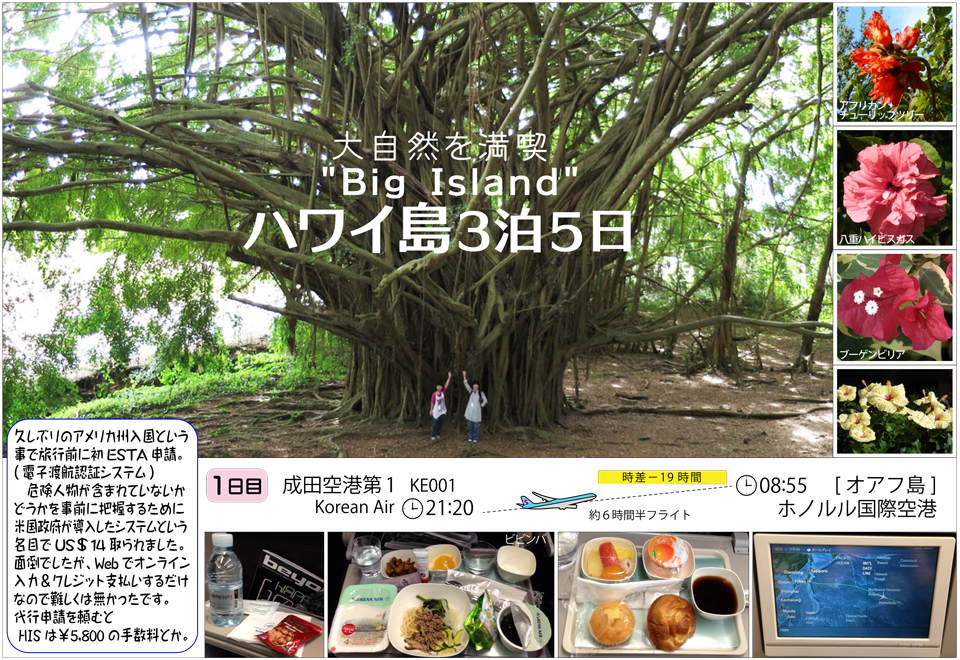 ハワイ島1