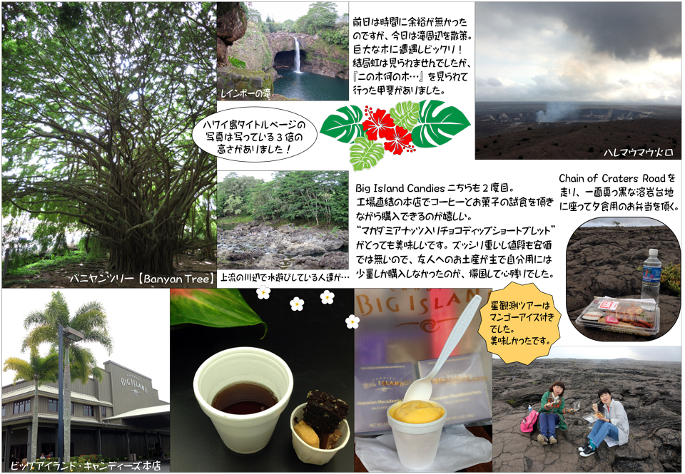 ハワイ島10