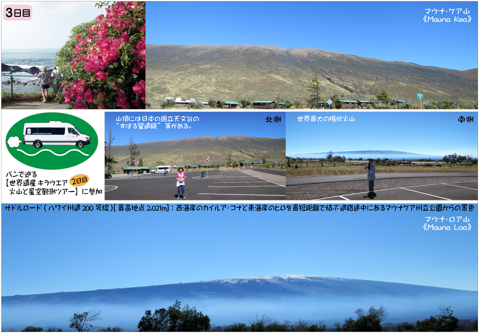 ハワイ島9