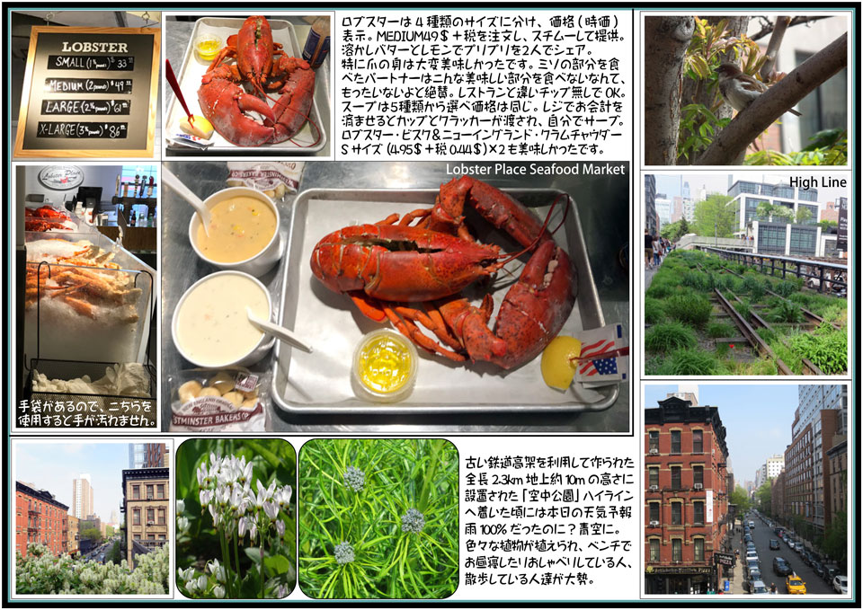 ニューヨーク14